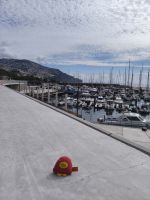Tag 6 Ausblick auf den Hafen von Funchal 