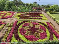 Tag 6 Blick auf Blumenmuster im Botanischen Garten Funchal 