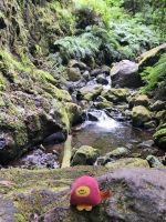 Tag 7 Blick auf den Talkessel der Levada do Rei 