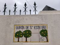 Vor der Orangenplantage 