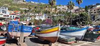 80 Fischerboote Camara de Lobos