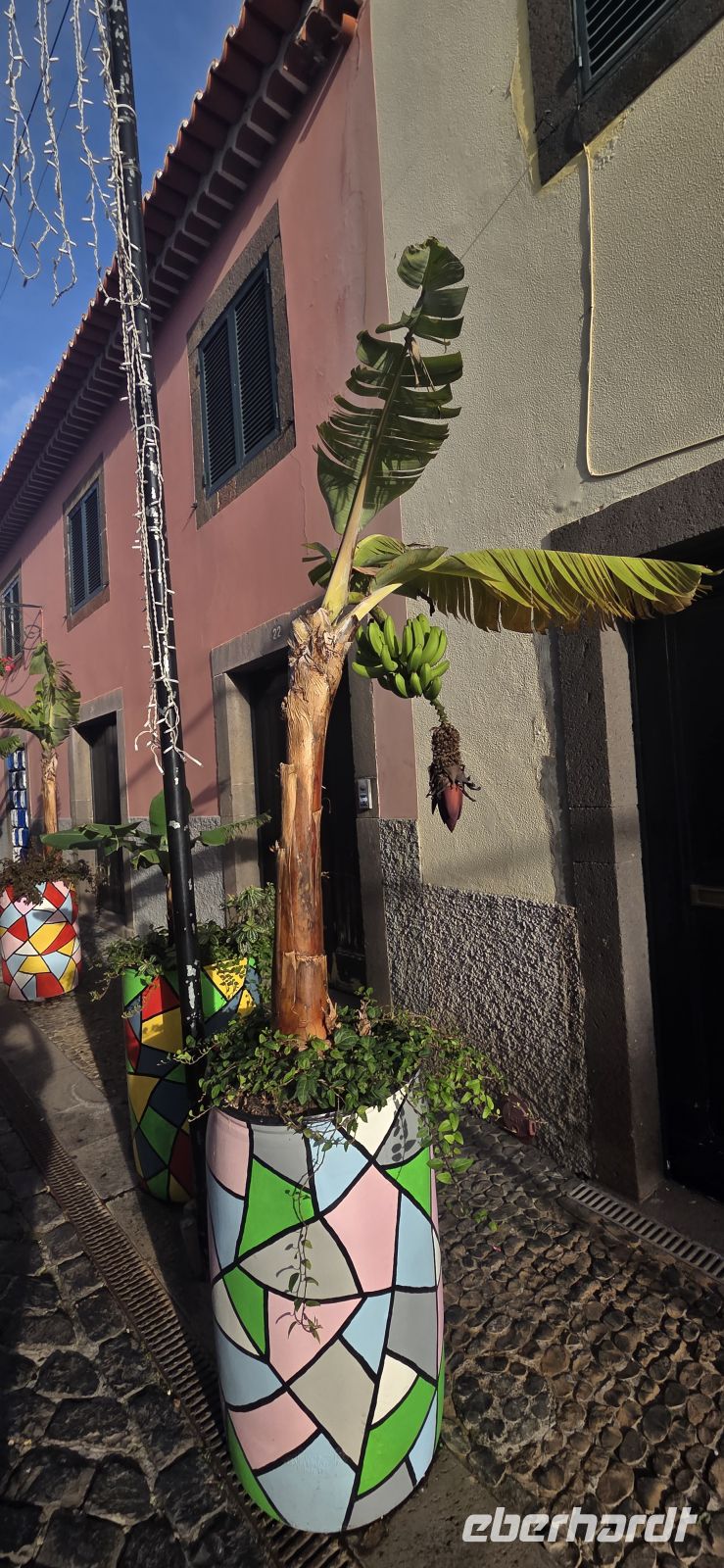 Madeira - Câmara de Lobos