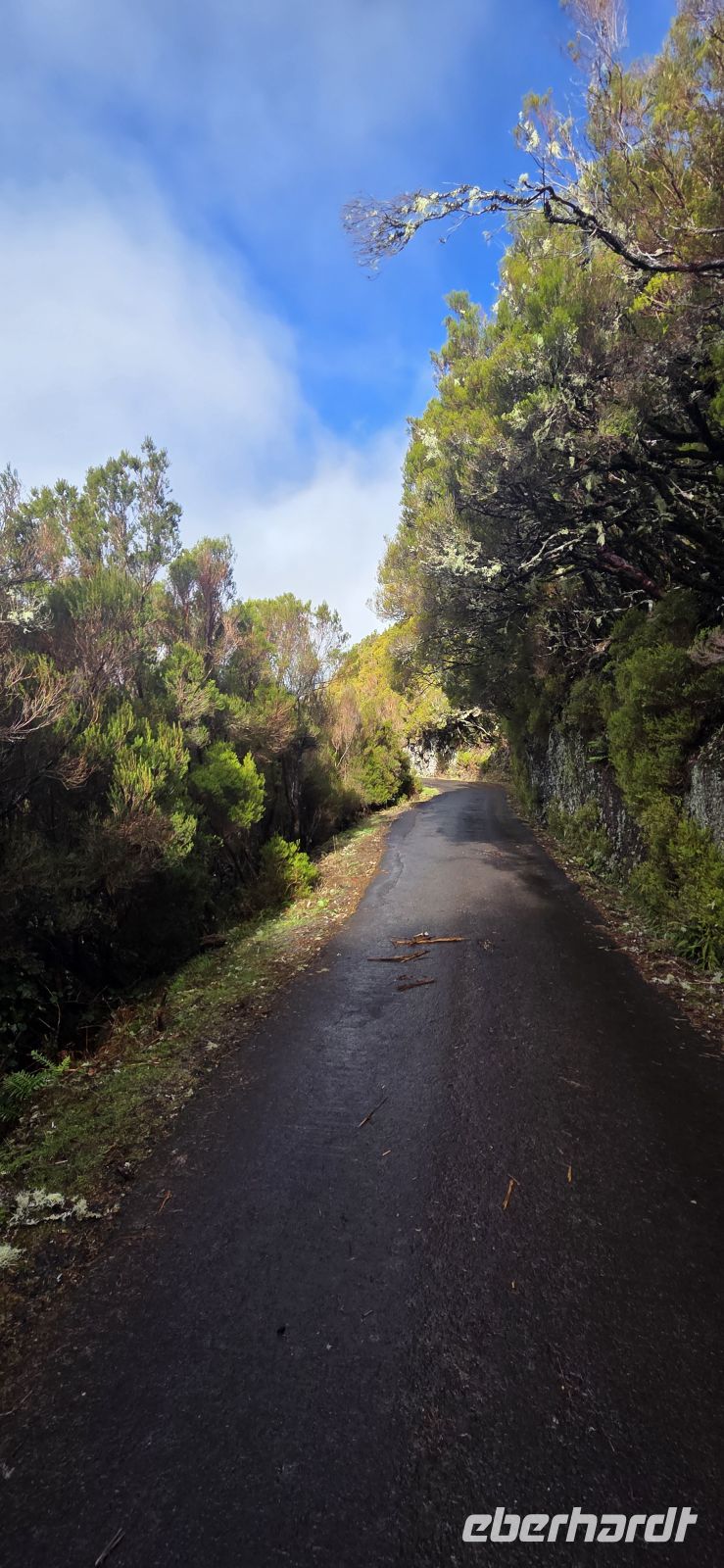 Madeira - Tal von Rabaçal