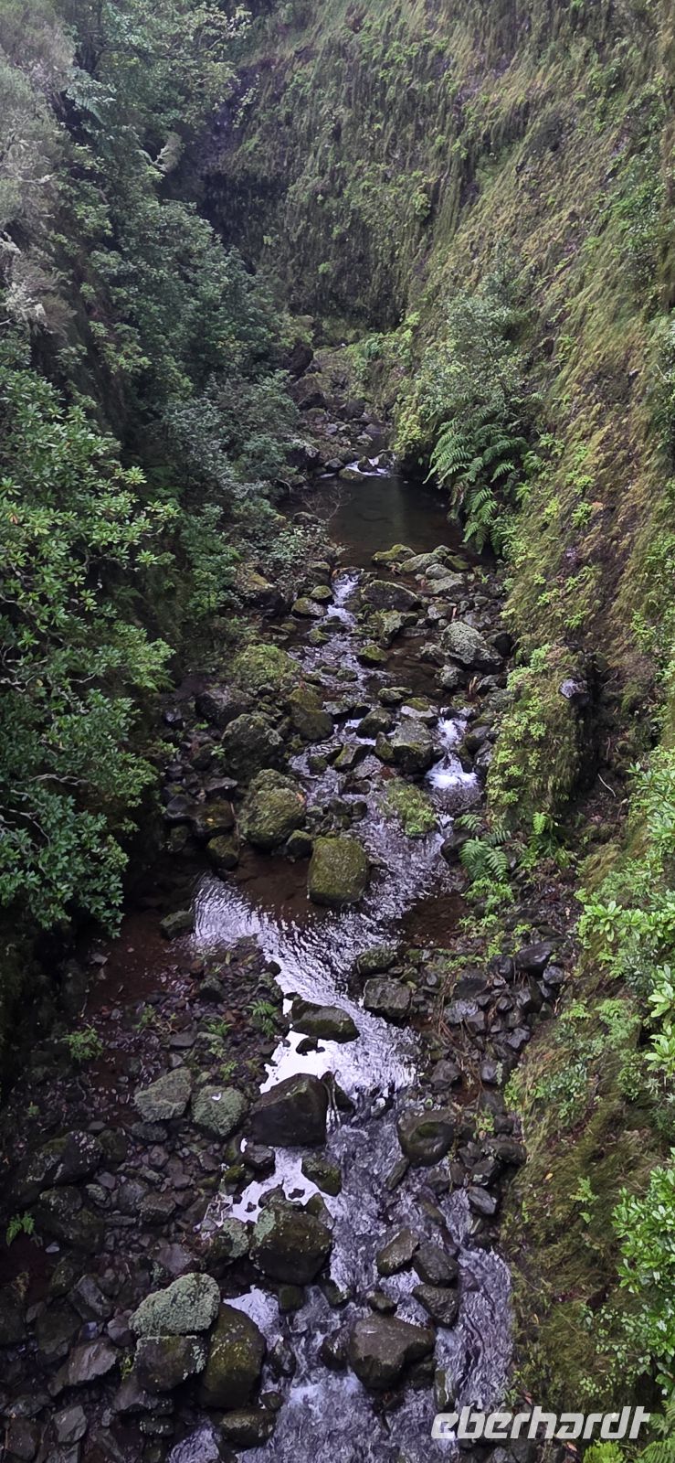 Madeira - Tal von Rabaçal