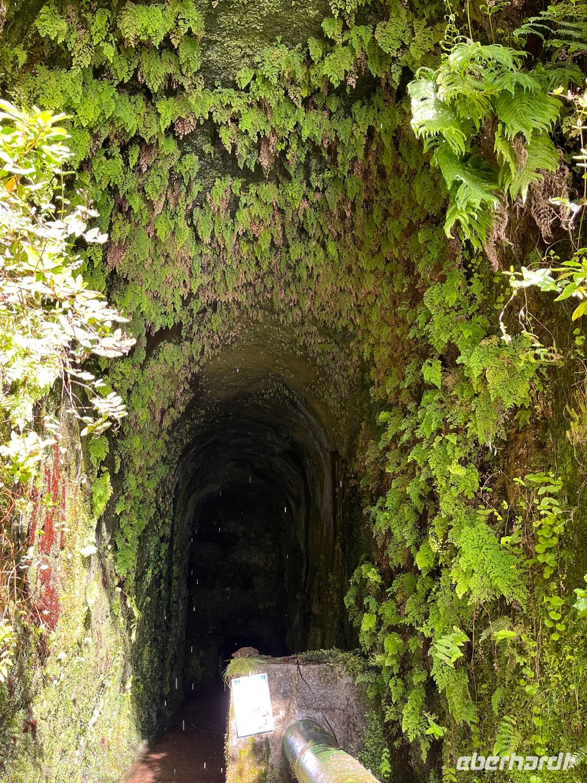 Madeira - Tunnel der Route der 25 Quellen 