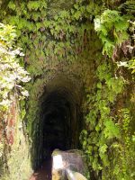 Madeira - Tunnel der Route der 25 Quellen 