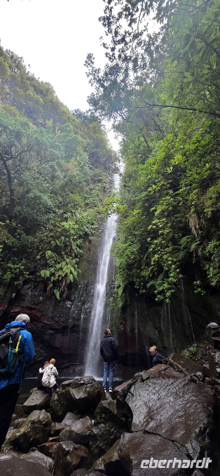 Madeira - 25 Quellen 