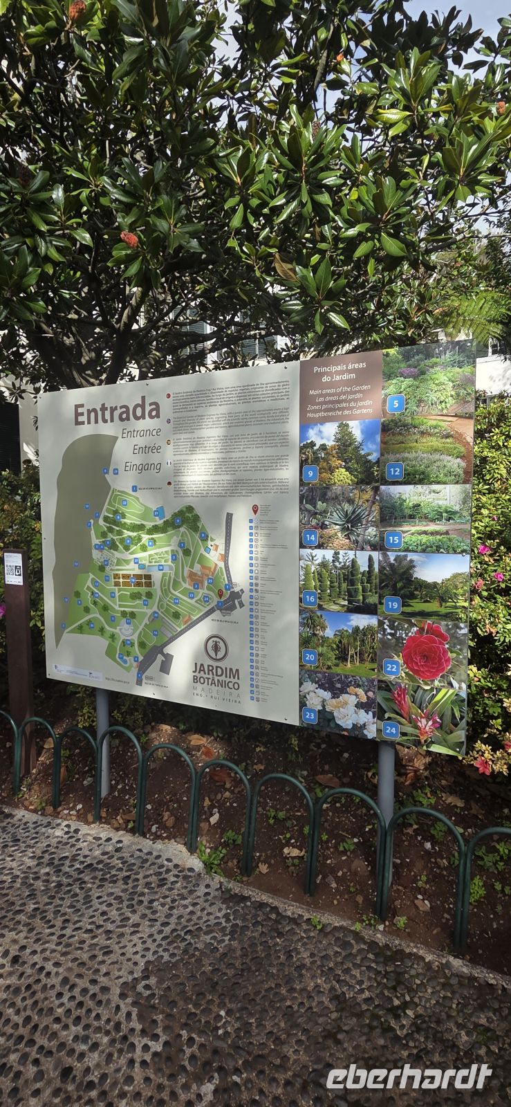 Madeira - Botanischer Garten Funchal 