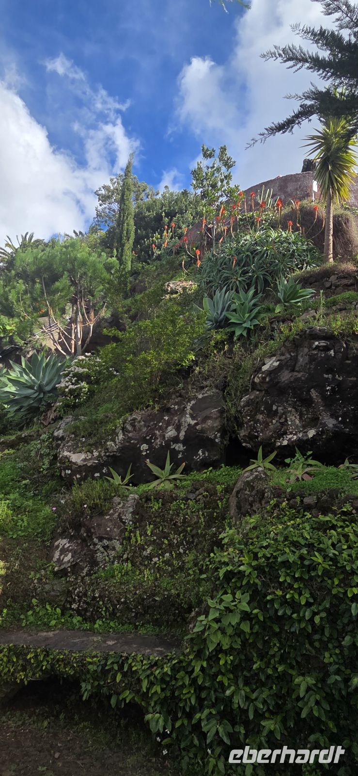 Madeira - Botanischer Garten Funchal 