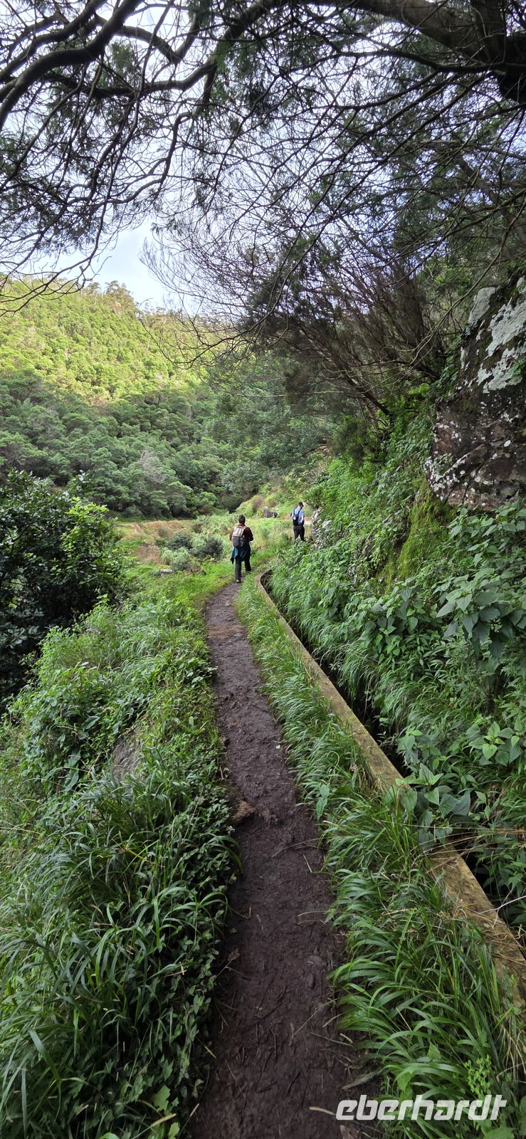 Madeira - Machico - Levada do Caniçal