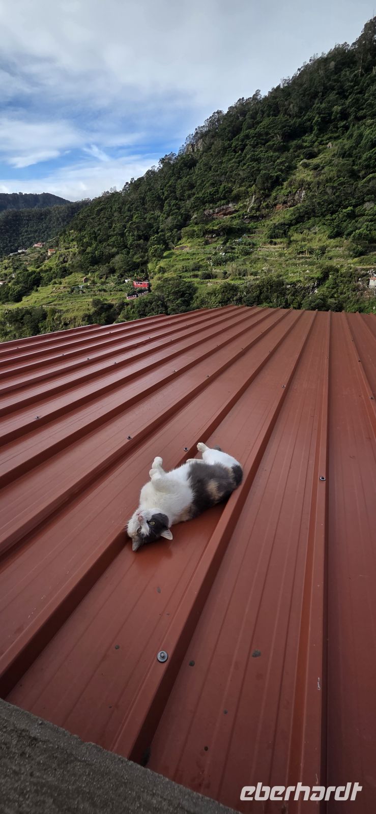 Madeira - Machico - Levada do Caniçal