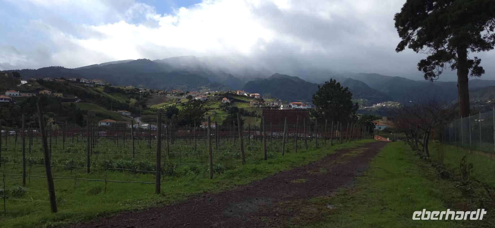 Madeira - Hotel & Weinplantage Quinta do Furão