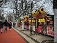 Weihnachtsmarkt Lissabon