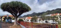 10 unterwegs in Machico