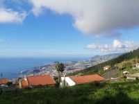 Blick auf Funchal mit Hafen