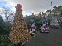 Monte: Weihnachtsbäume aus verschiedenen Materialien - ein Kunstprojekt