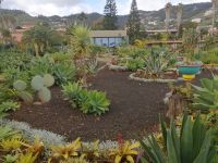 Führung durch die herrliche Gartenanlage der Quinta Splendida