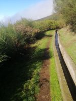 Wanderung entlang Levada do Paul II