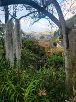 Besuch des prachtvollen Botanischen Gartens von Funchal.
