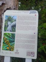 Besuch des prachtvollen Botanischen Gartens von Funchal