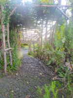 Besuch des prachtvollen Botanischen Gartens von Funchal