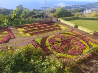 Besuch des prachtvollen Botanischen Gartens von Funchal