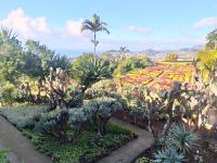 Besuch des prachtvollen Botanischen Gartens von Funchal