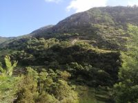 Wanderung entlang der Levada von Marocos