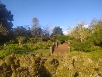 Besuch der Quinta do Palheiro (Garten der Familie Blandy)