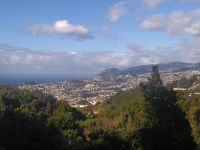 Besuch der Quinta do Palheiro (Garten der Familie Blandy), Blick auf Funchal