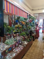 Besuch des berühmten Mercado dos Lavradores (Markthalle)