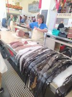 Besuch des berühmten Mercado dos Lavradores (Markthalle)