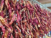 Besuch des berühmten Mercado dos Lavradores (Markthalle)