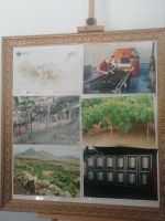 Führung durch Frauen-Genossenschaft CAF - Cooperativa Agricola do Funchal