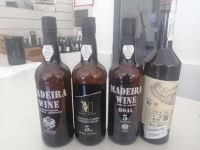 Weinverkostung in der Frauen-Genossenschaft CAF - Cooperativa Agricola do Funchal