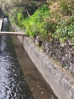 Tag 1 Blick auf Levada am Encumeada Bergpass  &ndash; &copy; Robert Kramer (Eberhardt TRAVEL)