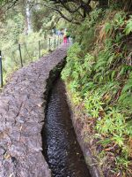 Tag 2 Blick auf die Levada do Risco  &ndash; &copy; Robert Kramer (Eberhardt TRAVEL)
