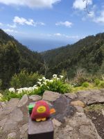 Tag 2 Blick auf die Küste von Calheta  &ndash; &copy; Robert Kramer (Eberhardt TRAVEL)