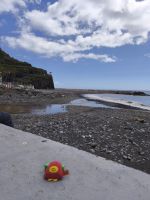Tag 2 Blick auf die Küste von Ribeira Brava  &ndash; &copy; Robert Kramer (Eberhardt TRAVEL)