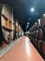 Weinkellerei ROZES - Porto - Portugal  &ndash; &copy; Marieta Beck (Eberhardt TRAVEL)