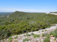 247 Rocha da Pena