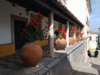 ...und schöne Blumen - Óbidos - Portugal &ndash; &copy; Marieta Beck (Eberhardt TRAVEL)