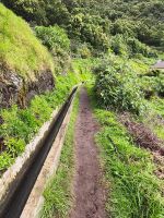 Tag 7 Blick auf Wanderweg entlang der Levada Canical  &ndash; &copy; Robert Kramer (Eberhardt TRAVEL)