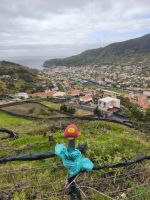 Tag 7 Blick auf die Küste von Machico  &ndash; &copy; Robert Kramer (Eberhardt TRAVEL)