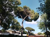 Die Burg Castelo Säo Jorge - Lissabon - Portugal  &ndash; &copy; Marieta Beck (Eberhardt TRAVEL)