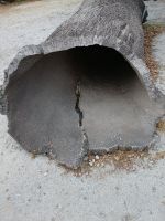 Die Rinde der Korkeiche - Portugal  &ndash; &copy; Marieta Beck (Eberhardt TRAVEL)