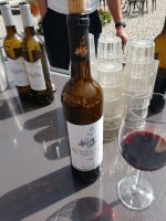 Weinverkostung im Weingut Avessada bei Favois - Portugal  &ndash; &copy; Marieta Beck (Eberhardt TRAVEL)