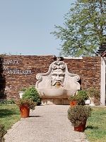 Weingut Avessada bei Favois - Portugal  &ndash; &copy; Marieta Beck (Eberhardt TRAVEL)