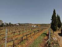 Weingut Avessada bei Favois - Portugal  &ndash; &copy; Marieta Beck (Eberhardt TRAVEL)