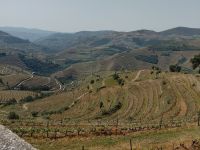 Die Region Douro Tal  - Portugal  &ndash; &copy; Marieta Beck (Eberhardt TRAVEL)